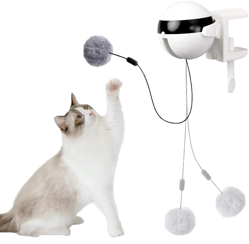 Yo-Yo Smart Teaser Cat Toy